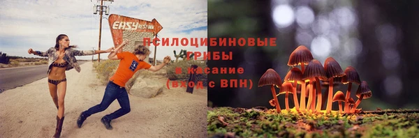 apvp Абинск