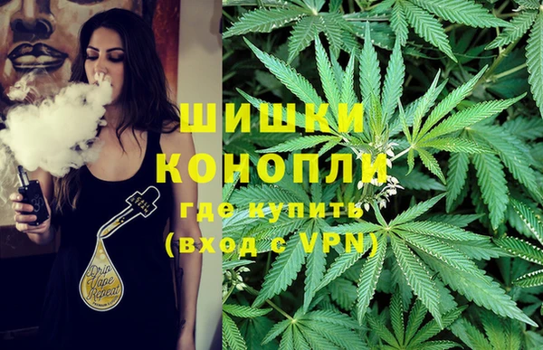 ECSTASY Абаза
