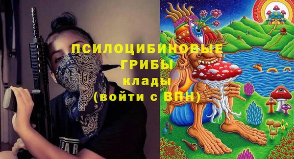 крисы Абдулино