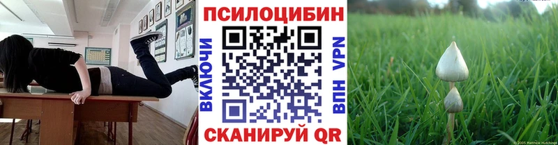 Псилоцибиновые грибы Cubensis  Оренбург 